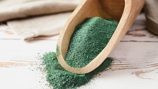 Miel et spiruline : LE meilleur remède contre les maladies hivernales
